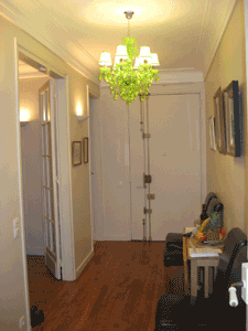Paris Apartment